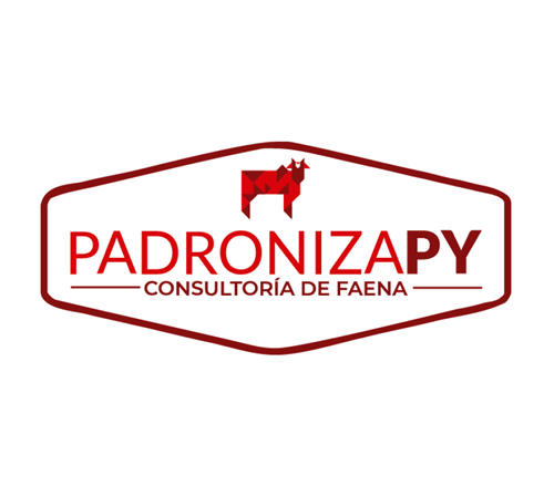 Padroniza PY - Consultoría de Faena